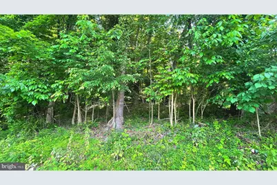Miller Road, Ridgeley, WV 26753 - Photo 2