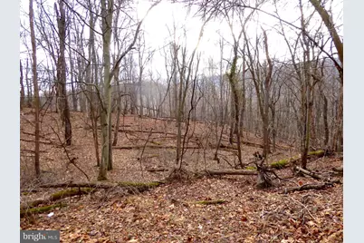 Lot B & Lot E S. Virginia Avenue, Ridgeley, WV 26753 - Photo 8