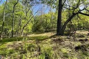 133 944 Acres Russelldale Rd, Burlington, WV 26710 - Photo 32