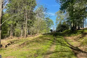 133 944 Acres Russelldale Rd, Burlington, WV 26710 - Photo 18