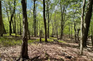 133 944 Acres Russelldale Rd, Burlington, WV 26710 - Photo 26
