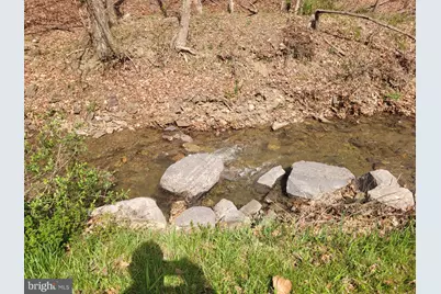 1224 Dry Run Road, Burlington, WV 26710 - Photo 38