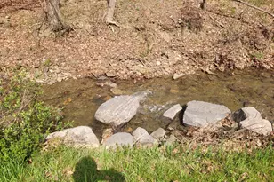 1224 Dry Run Rd, Burlington, WV 26710 - Photo 38