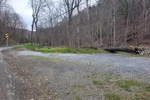 1224 Dry Run Rd, Burlington, WV 26710 - Photo 14