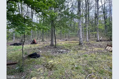 0 Cut Off Road, Keyser, WV 26726 - Photo 8
