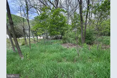 0 Cut Off Road, Keyser, WV 26726 - Photo 10