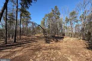 40 Amandas Ln, Keyser, WV 26726 - Photo 46