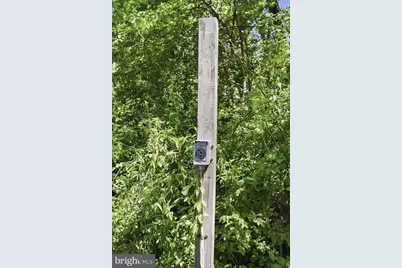 Patterson Creek Village Pike, Fort Ashby, WV 26719 - Photo 14