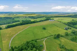 524 Bane Cutoff Rd, Elk Garden, WV 26717 - Photo 70