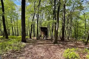 133 944 Acres Russelldale Rd, Burlington, WV 26710 - Photo 1