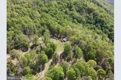 133.944 Acres Russelldale Road, Burlington, WV 26710 - Photo 6