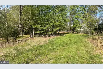 133.944 Acres Russelldale Road, Burlington, WV 26710 - Photo 2