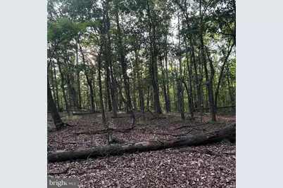 00 Headsville Rd, Keyser, WV 26726 - Photo 36