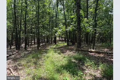 00 Headsville Rd, Keyser, WV 26726 - Photo 10