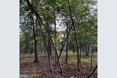 00 Headsville Rd, Keyser, WV 26726 - Photo 28