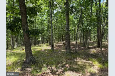 00 Headsville Rd, Keyser, WV 26726 - Photo 8