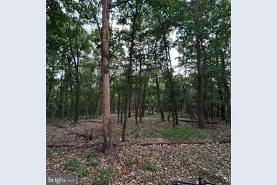 00 Headsville Rd, Keyser, WV 26726 - Photo 32