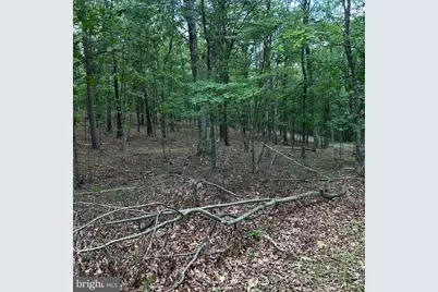 00 Headsville Rd, Keyser, WV 26726 - Photo 44