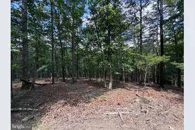 00 Headsville Rd, Keyser, WV 26726 - Photo 16