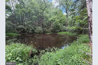 00 Headsville Rd, Keyser, WV 26726 - Photo 4