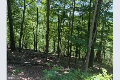 1515 Barnum Road, Keyser, WV 26726 - Photo 50