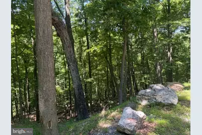 1515 Barnum Road, Keyser, WV 26726 - Photo 32