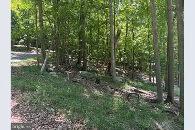 1515 Barnum Road, Keyser, WV 26726 - Photo 44