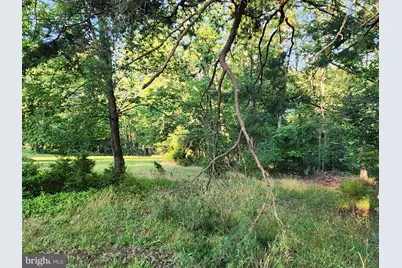 4549 Georges Run Road, Ridgeley, WV 26753 - Photo 20