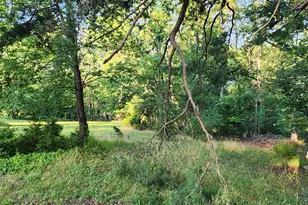 4549 Georges Run Rd, Ridgeley, WV 26753 - Photo 20