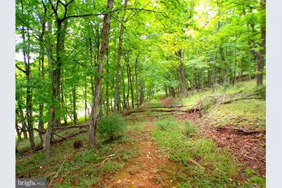 10.1 Ac Waxler Road, Keyser, WV 26726 - Photo 2
