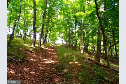10.1 Ac Waxler Road, Keyser, WV 26726 - Photo 6
