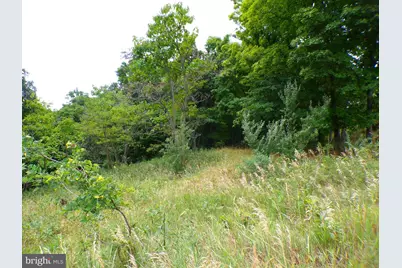 10.1 Ac Waxler Road, Keyser, WV 26726 - Photo 1