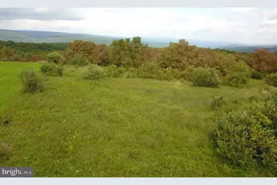 Dragonfly Lane, Elk Garden, WV 26717 - Photo 26