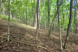 497 Dry Run Rd, Burlington, WV 26710 - Photo 44