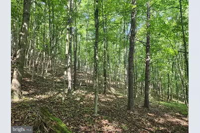 497 Dry Run Rd., Burlington, WV 26710 - Photo 46