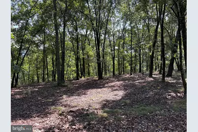 1433 Ed Welsh Road, Burlington, WV 26710 - Photo 24