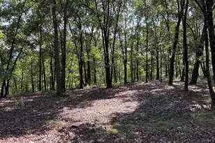 1433 Ed Welsh Rd, Burlington, WV 26710 - Photo 24
