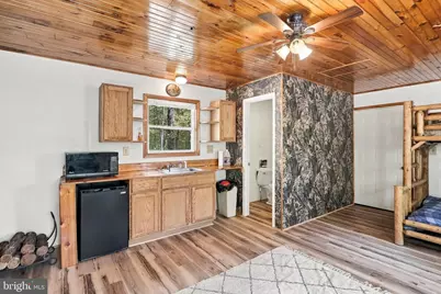 68.79 Ac Harness Run Road, Burlington, WV 26710 - Photo 6
