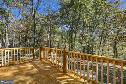 68.79 Ac Harness Run Road, Burlington, WV 26710 - Photo 12