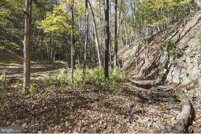 68.79 Ac Harness Run Road, Burlington, WV 26710 - Photo 18