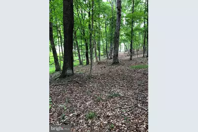 Timber Ridge, Berkeley Springs, WV 25411 - Photo 14