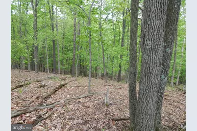 Plum Tree Lane, Berkeley Springs, WV 25411 - Photo 8