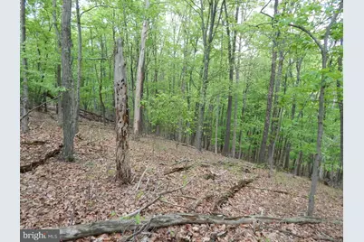 Plum Tree Lane, Berkeley Springs, WV 25411 - Photo 16