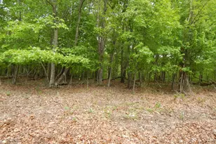 Plum Tree Ln, Berkeley Springs, WV 25411 - Photo 1