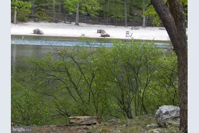 Plum Tree Lane, Berkeley Springs, WV 25411 - Photo 44