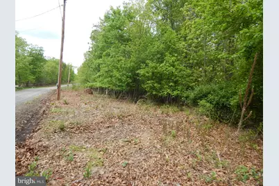 Plum Tree Lane, Berkeley Springs, WV 25411 - Photo 18