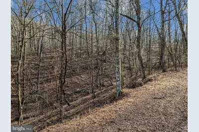 Ore Lane Lot #25, Berkeley Springs, WV 25411 - Photo 4