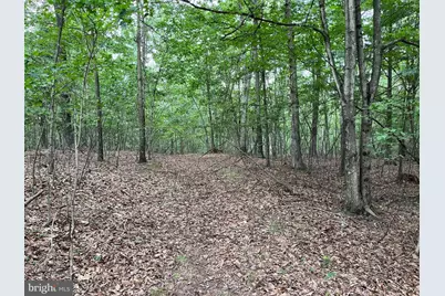 Fairview Oaks Way, Berkeley Springs, WV 25411 - Photo 50