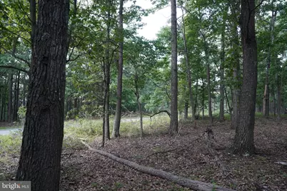 Lot 7 Justin Lane, Great Cacapon, WV 25422 - Photo 10