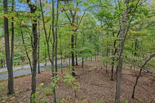 35 Warbler's Way, Berkeley Springs, WV 25411 - Photo 8